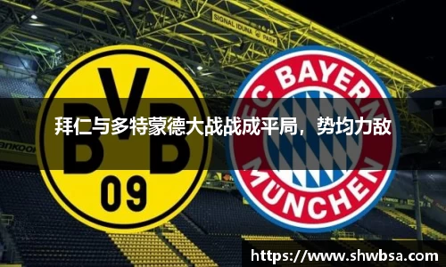 星空体育官网入口