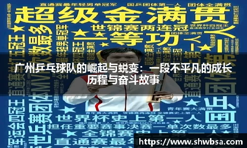 星空体育官网入口